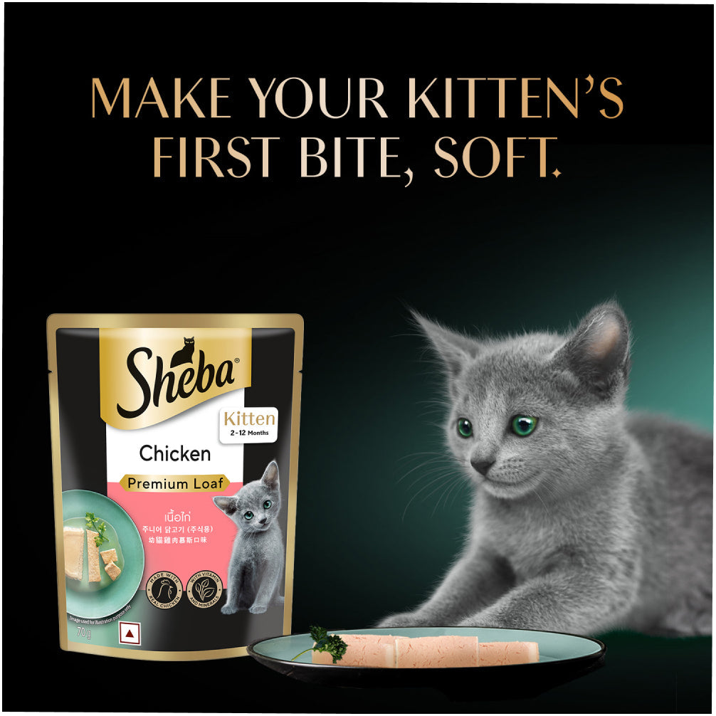 Sheba Chicken Loaf Rich Premium Kitten (2 to 12 Months) Fine Cat Wet Food