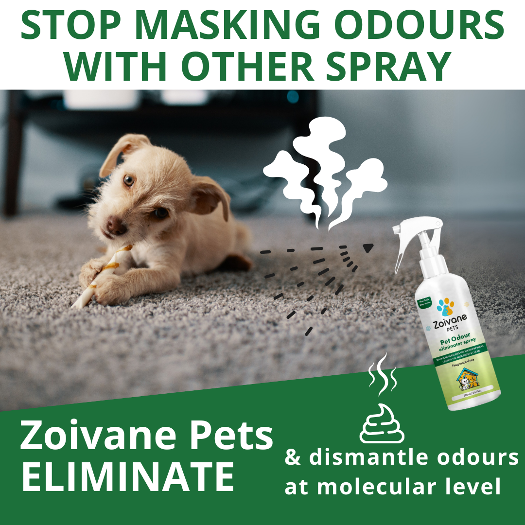 Zoivane  Pets Odour Eliminator for Dogs and Cats