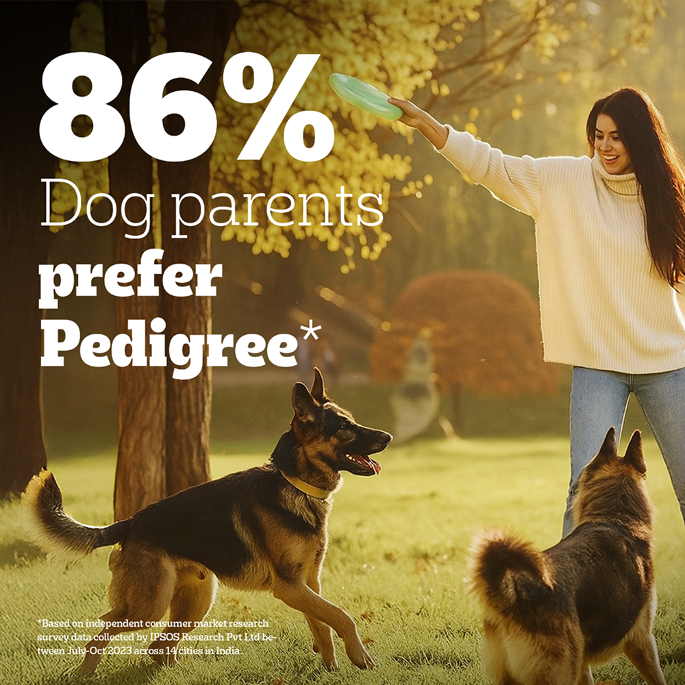 Pedigree PRO Expert Nutrition Active Adult (18 Months Onwards) Large Breed Dog Dry Food