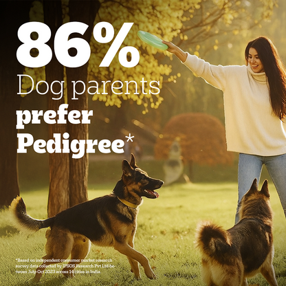 Pedigree PRO Expert Nutrition Active Adult (18 Months Onwards) Large Breed Dog Dry Food