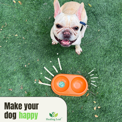 Healing Leaf Eco friendly Bamboo Bowl for Dogs and Cats (Sky Blue)