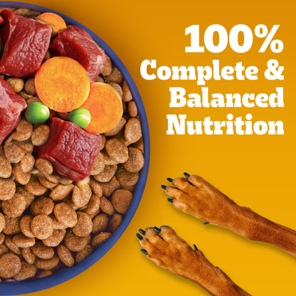Pedigree Puppy Dog Food Combo |Meat & Milk Dry & Chicken & Liver Wet