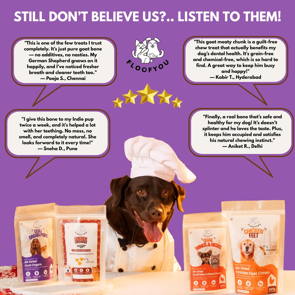 Floofyou Air Dried Meaty Chunks Bone Dental Chew Dog Treats
