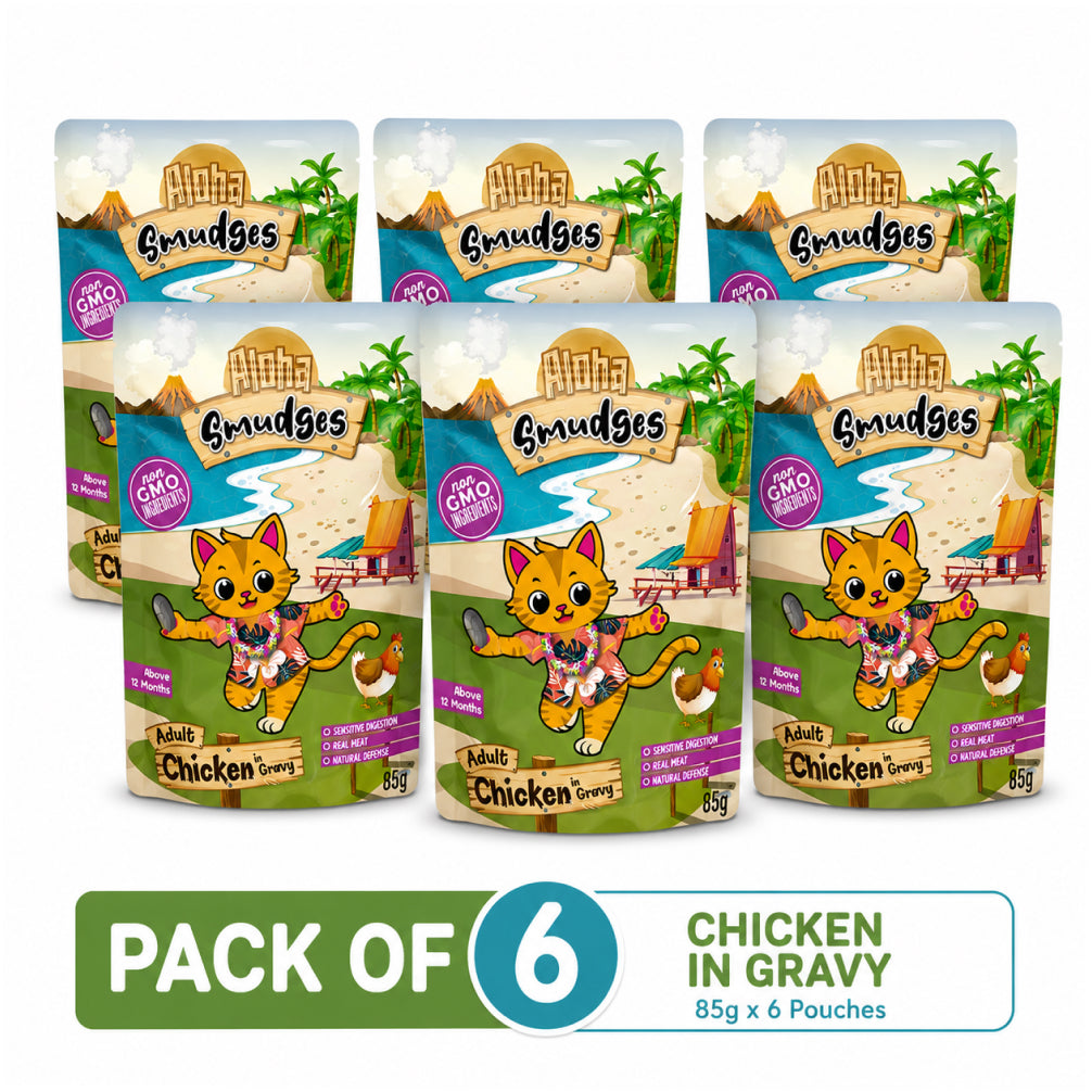 Aloha Smudges Chicken in Gravy Adult Cat Wet Food