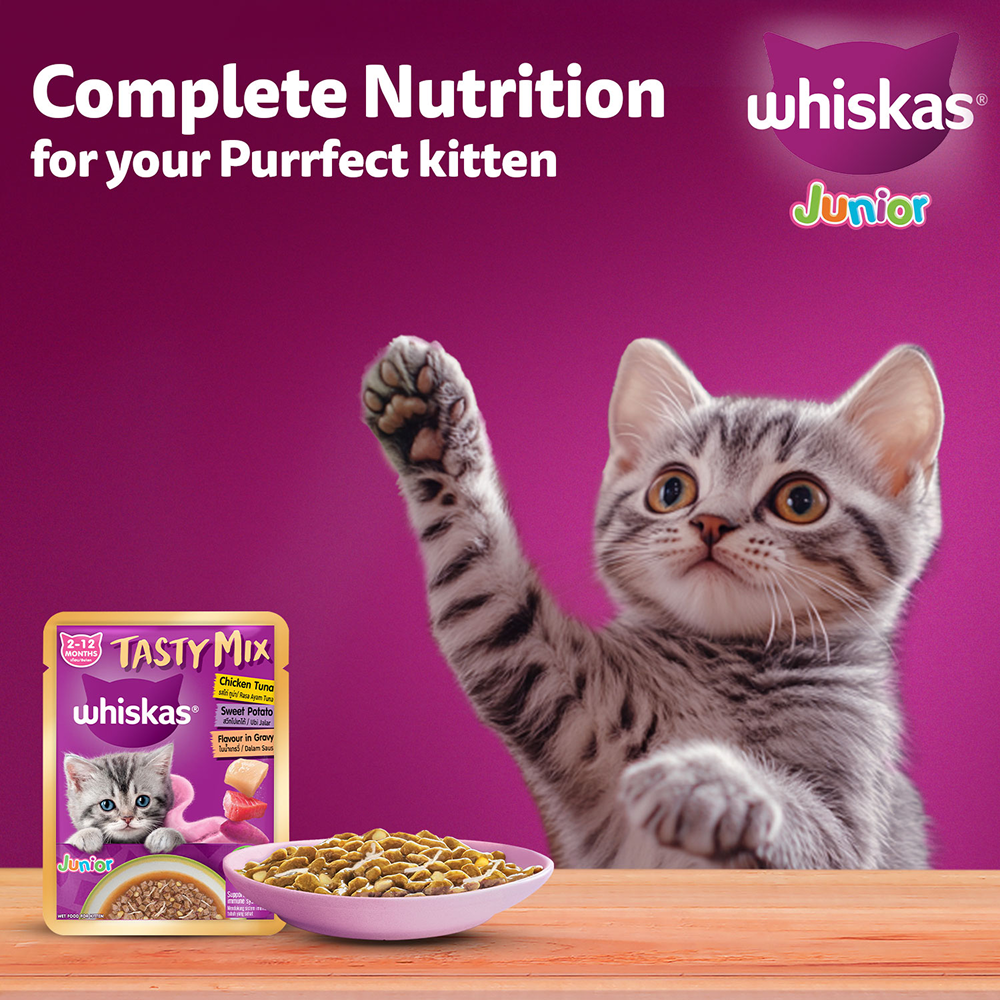Whiskas Kitten Tasty Mix Wet Food Combo |Chicken, Tuna, Seafood & Salmon