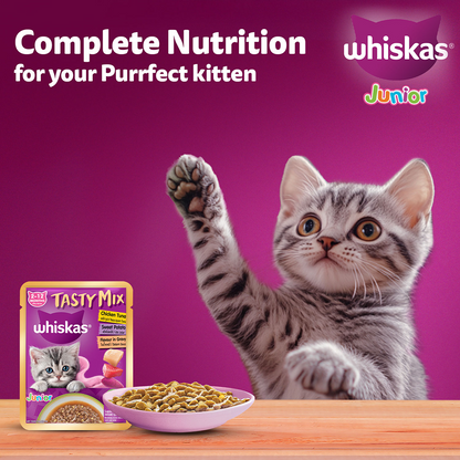 Whiskas Kitten Tasty Mix Wet Food Combo |Chicken, Tuna, Seafood & Salmon