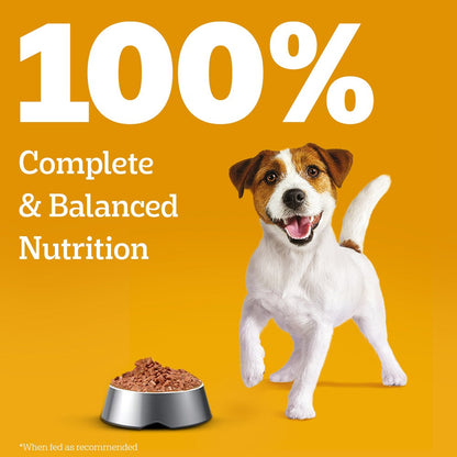 Pedigree Puppy Dog Food Combo |Meat & Milk Dry & Chicken & Liver Wet