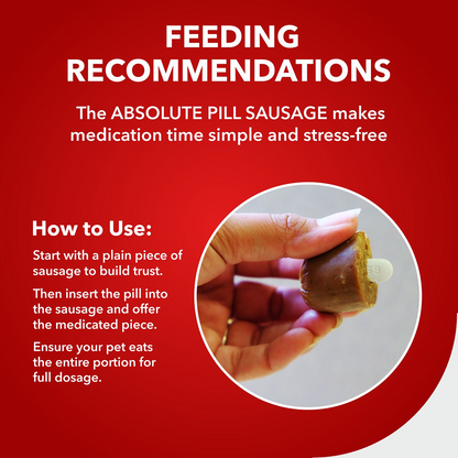 Drools Real Chicken Pill Sausage Treats for Dogs and Cats(Jar)