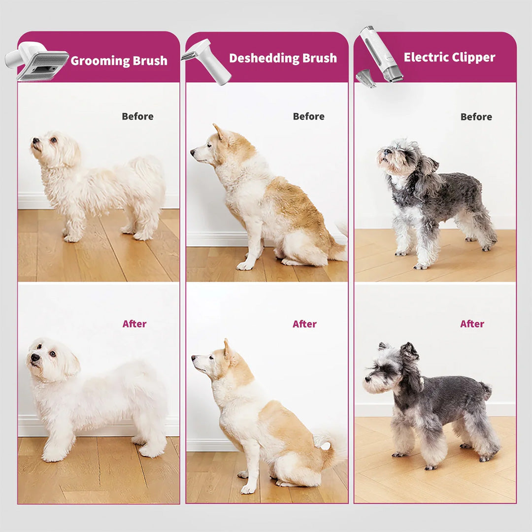 Petkit Professional 5 in 1 Grooming & Hair Vaccum Kit for Dogs and Cats (Grey)