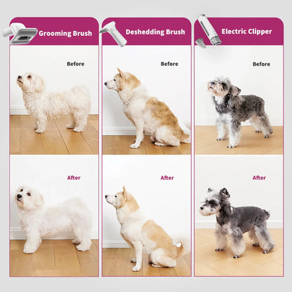 Petkit Professional 5 in 1 Grooming & Hair Vaccum Kit for Dogs and Cats (Grey)