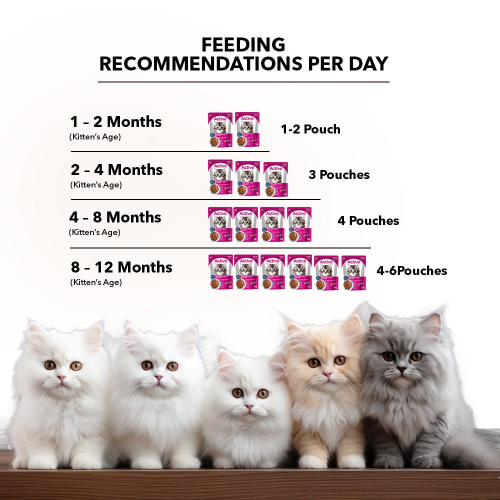 Active Real Tuna Fish in Gravy Kitten Cat Wet Food (Buy 1 Get 1)