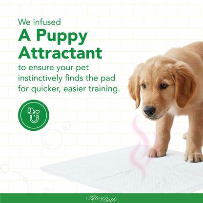 Afterbath SuperDry Training Pads for Dogs & Cats (60x90cm)