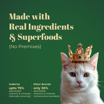 IndieCat Royal Glow Mackerel Fish Adult Cat Wet Food