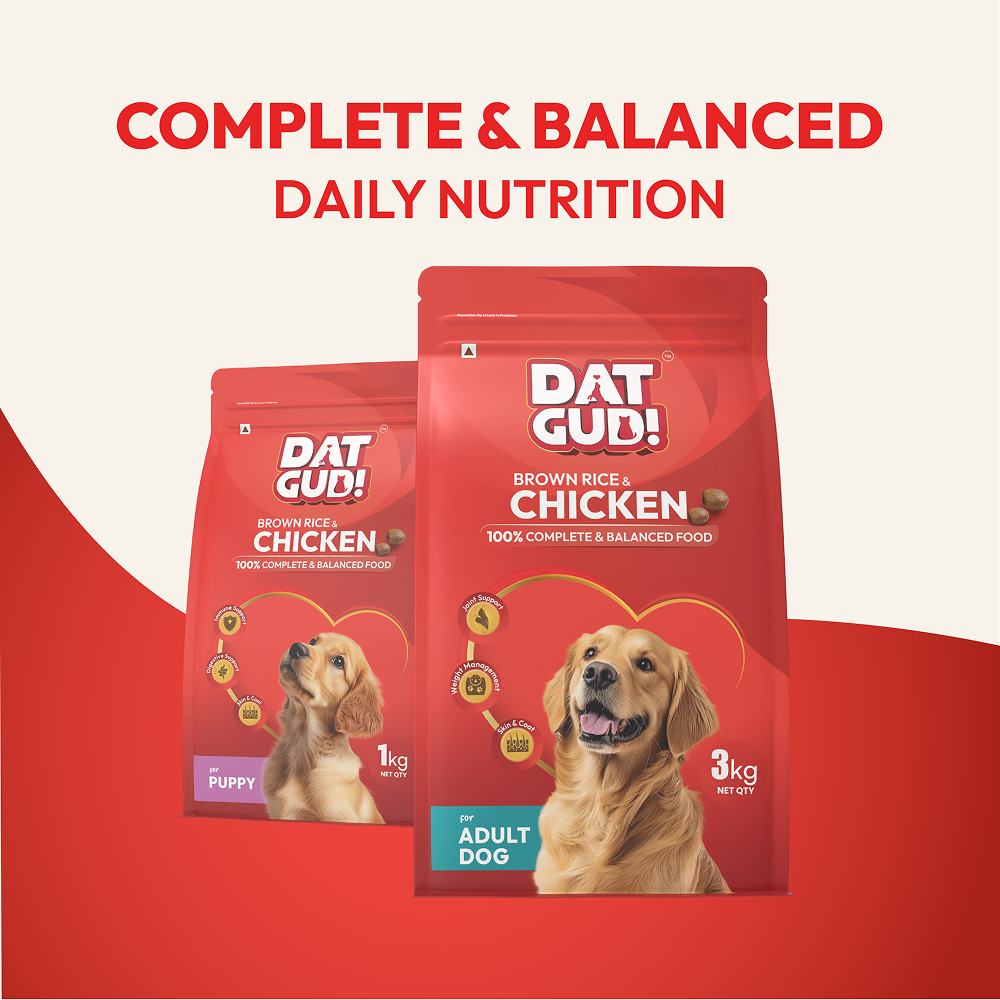 DatGud Chicken & Brown Rice Adult Dog Dry Food (Buy 1 Get 1 Free)