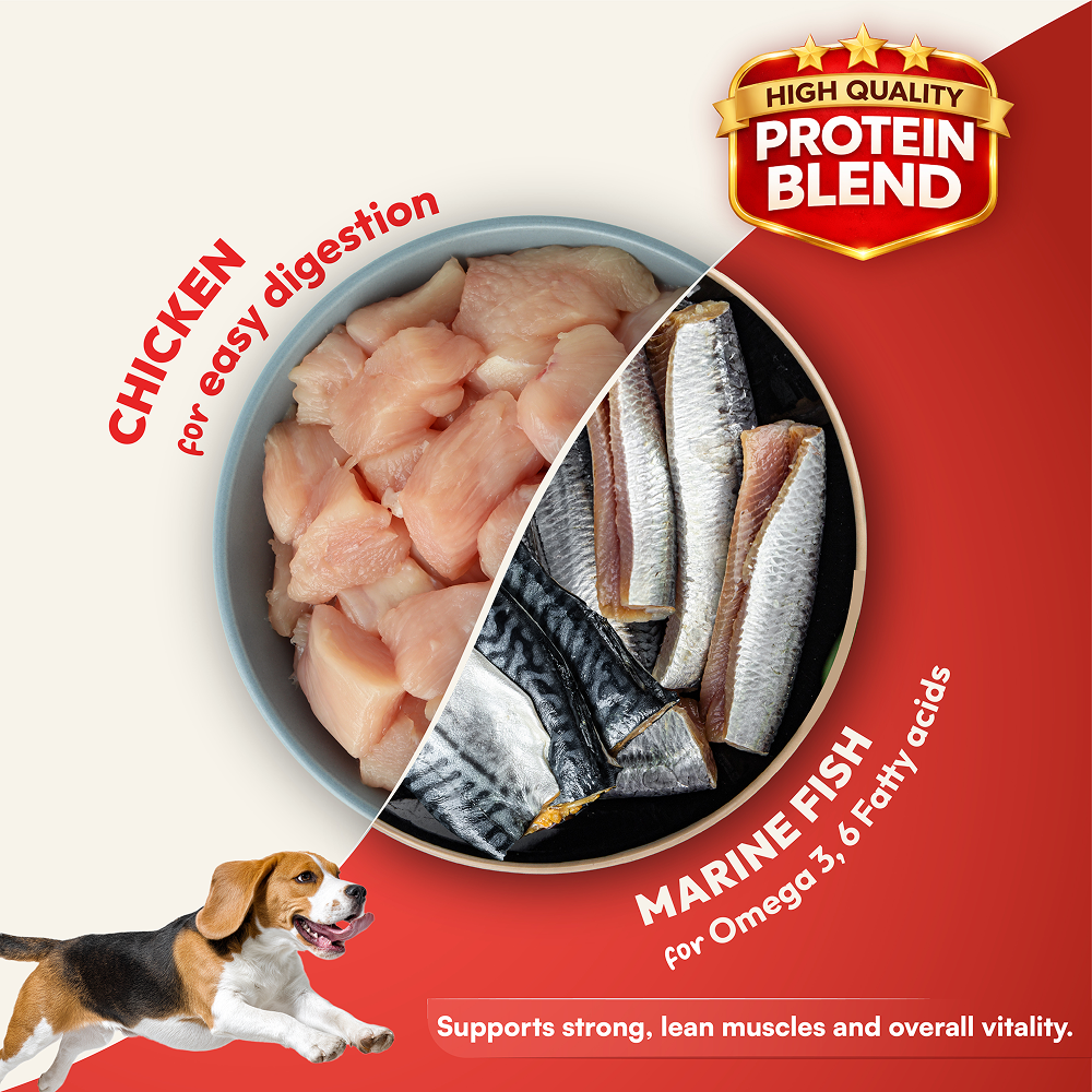 DatGud Chicken & Brown Rice Adult Dog Dry Food (Buy 1 Get 1 Free)