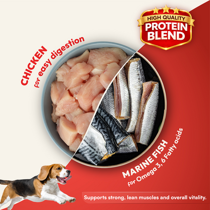 DatGud Chicken & Brown Rice Adult Dog Dry Food (Buy 1 Get 1 Free)