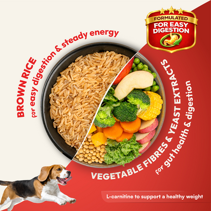 DatGud Chicken & Brown Rice Adult Dog Dry Food (Buy 1 Get 1 Free)