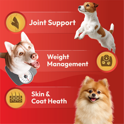 DatGud Chicken & Brown Rice Adult Dog Dry Food (Buy 1 Get 1 Free)
