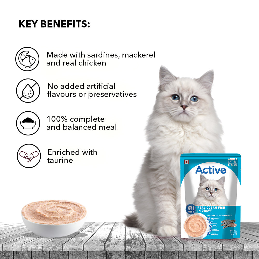 Active  Real Ocean Fish in Gravy Adult Cat Wet Food ( Buy 1 Get 1)
