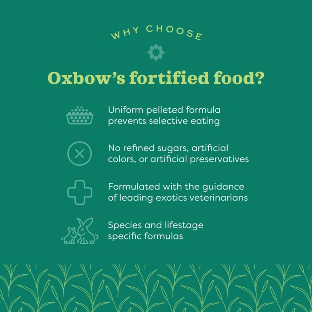 Oxbow Essentials Dry Food for Adult Rabbits