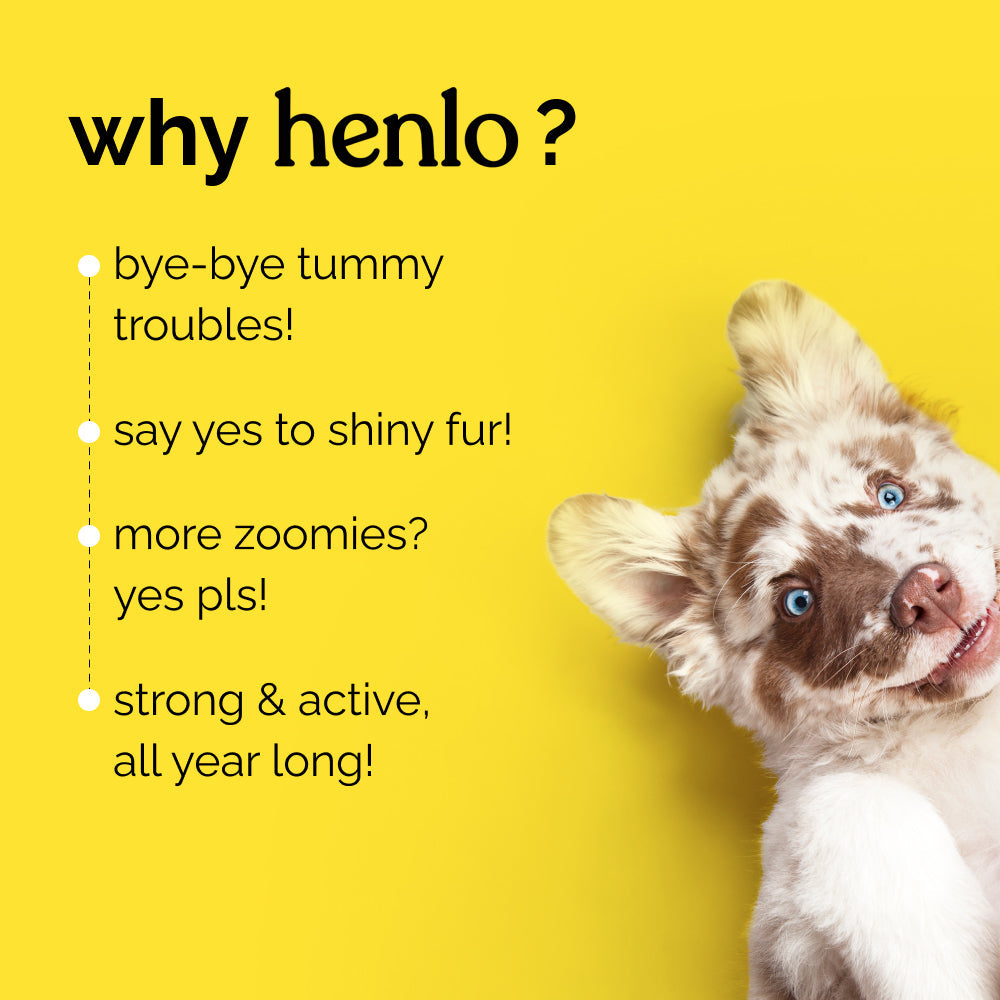 Henlo Baked Chicken & Vegetable Dry Food for Adult Dogs and Post Card Combo