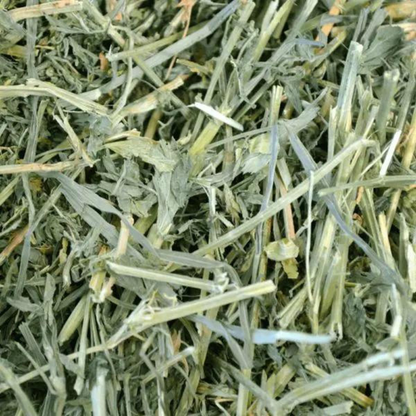 Oxbow Alfalfa Hay Dry Food for Rabbits and Guinea Pigs