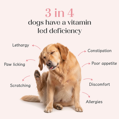 Hope All in One Vegan Vitamins & Joint Support Supplement for Dogs