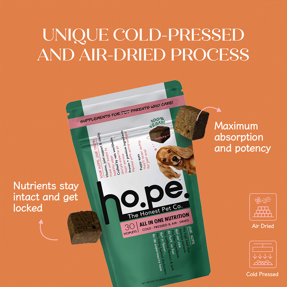 Hope All in One Vegan Vitamins & Joint Support Supplement for Dogs