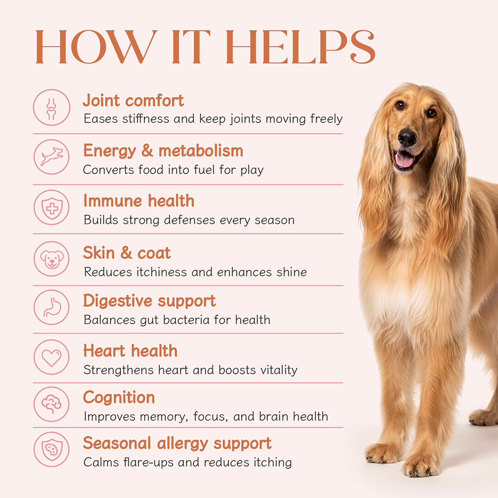 Hope All in One Vegan Vitamins & Joint Support Supplement for Dogs