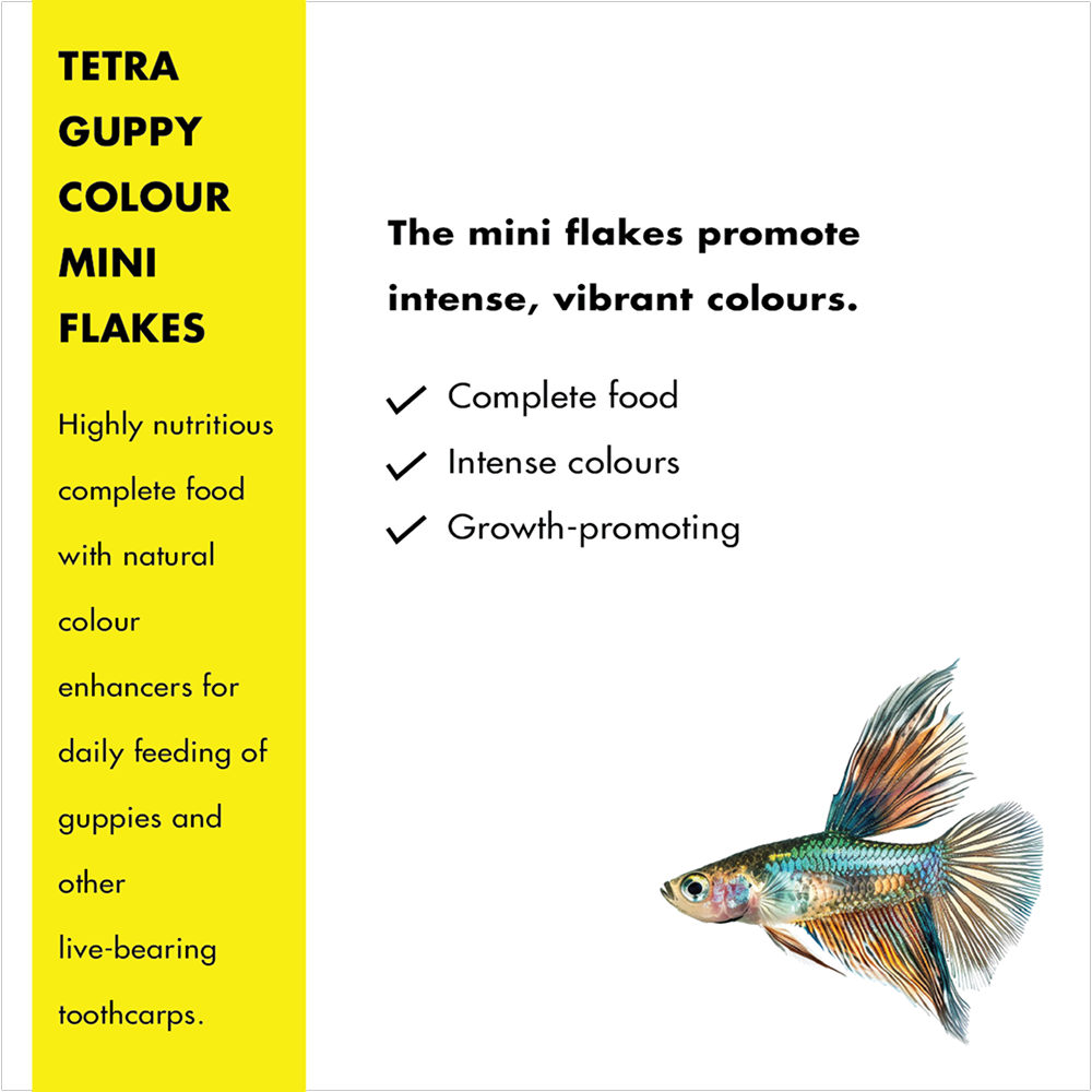 Tetra Guppy Colour Mini Flakes Fish Treat