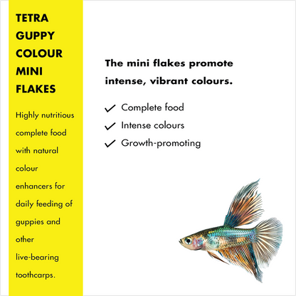 Tetra Guppy Colour Mini Flakes Fish Treat