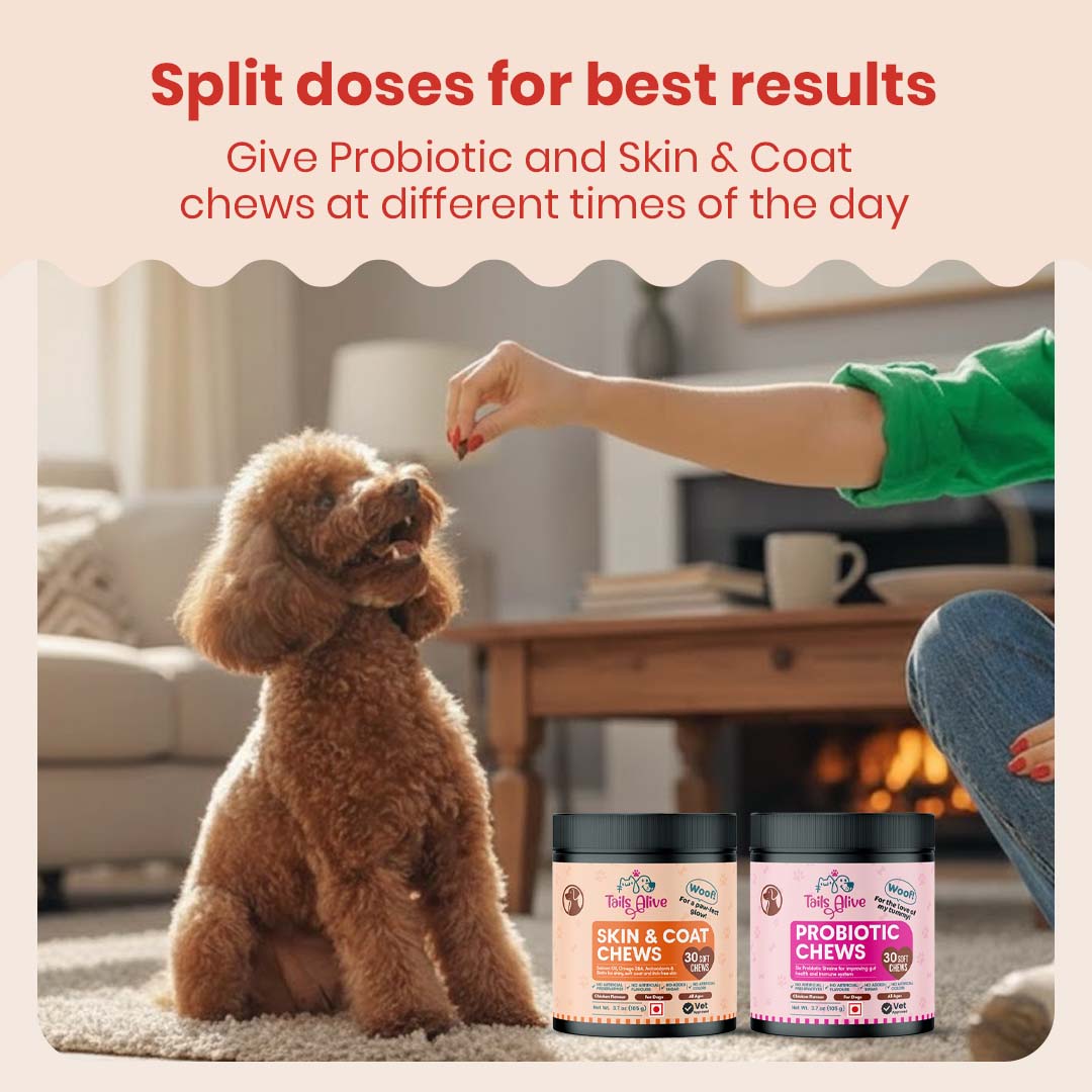 TailsAlive Probiotic, Immunity Booster and Skin & Coat Chews Allergy & Itch Relief Combo for Dogs
