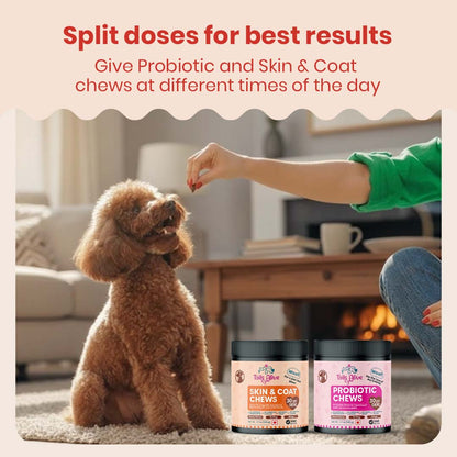 TailsAlive Probiotic, Immunity Booster and Skin & Coat Chews Allergy & Itch Relief Combo for Dogs