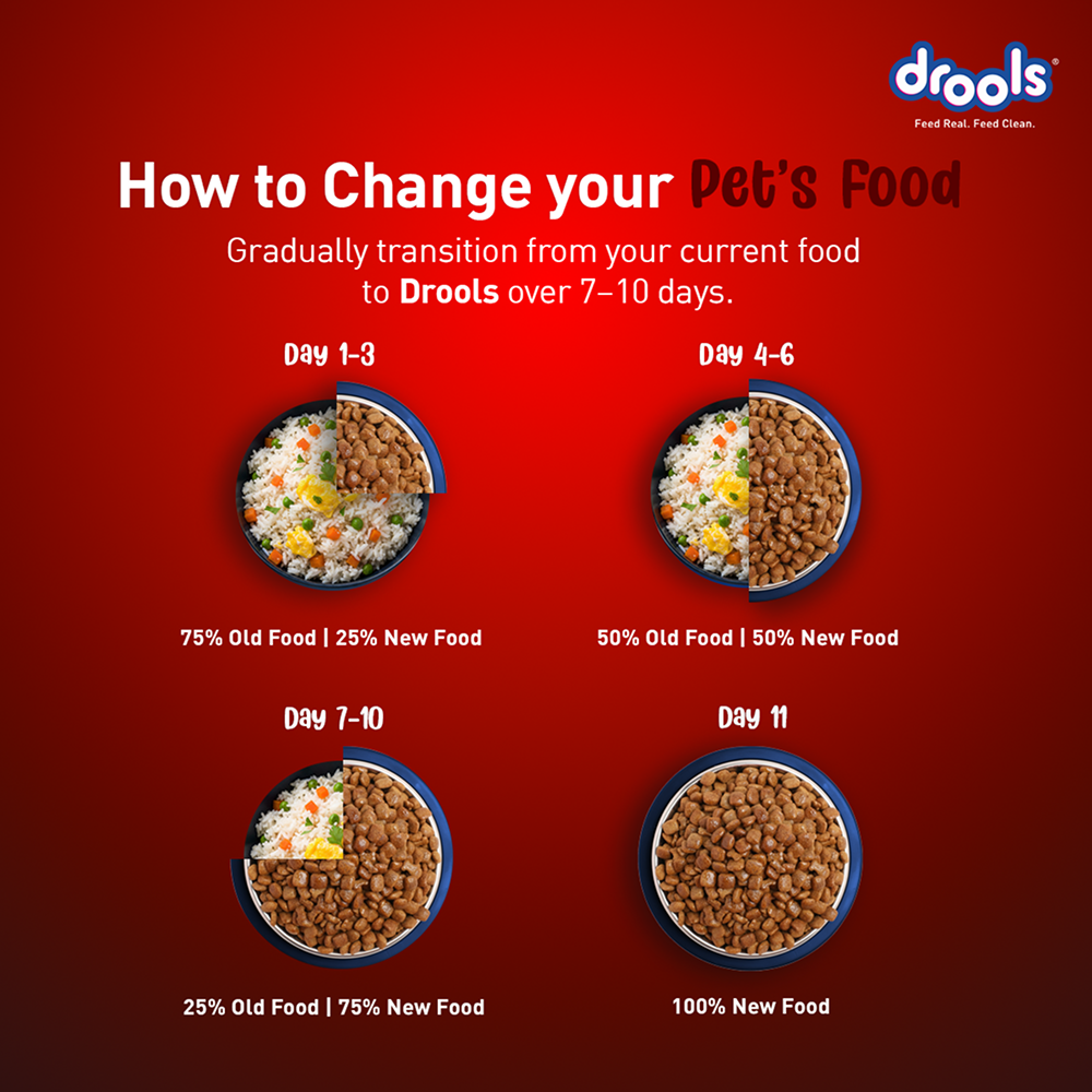 Drools Meat and Milk Puppy Dog Dry Food