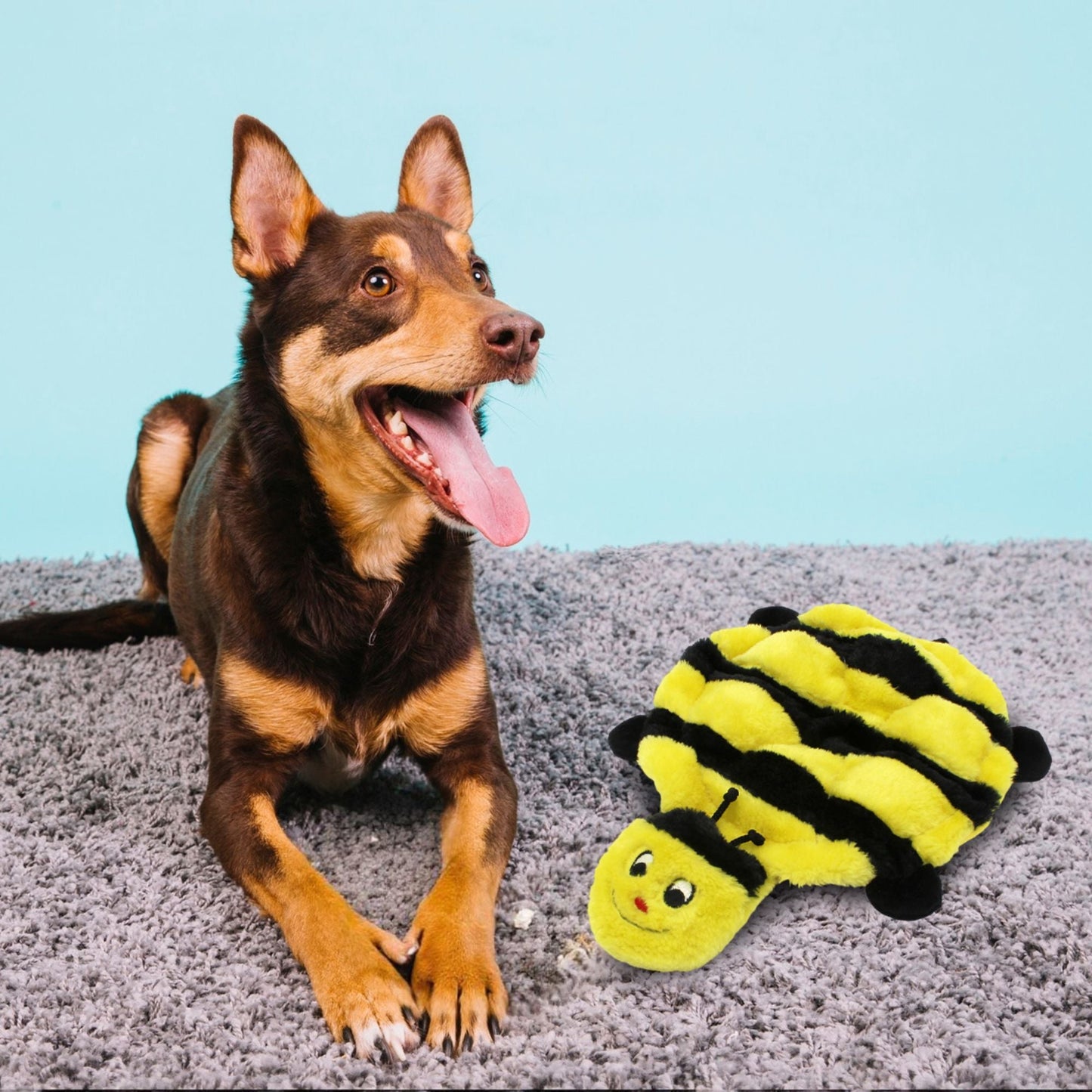 Zippy Paws Squeakie Crawler Bertie the Bee Plush Toy for Dogs