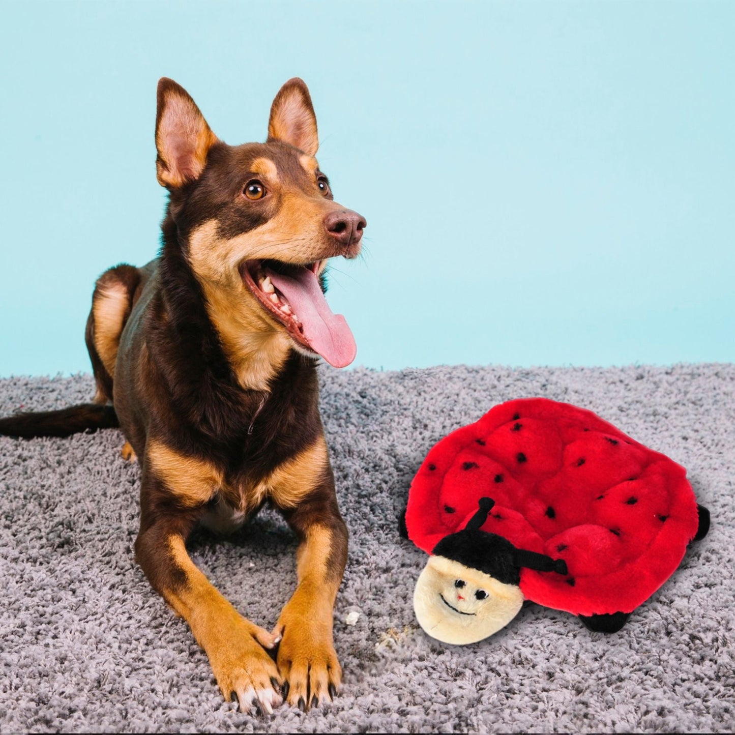 Zippy Paws Squeakie Crawler Betsey the Ladybug Plush Toy for Dogs