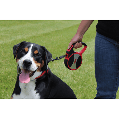 Kong Explore Retractable Leash for Dogs and Cats (Red)