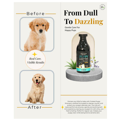 Dr. Chelsea's Tearless PH Balance Shampoo for Puppy & Kitten