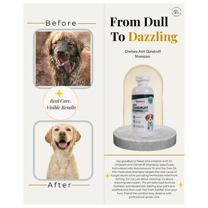 Dr. Chelsea’s Anti Dandruff Shampoo for Dogs & Cats