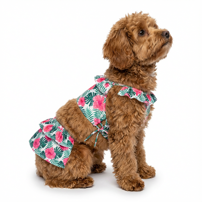Pet Bigginis For Dogs (White/Pink/Green)