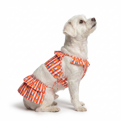 Pet Bigginis For Dogs (Pink/Orange/Blue)