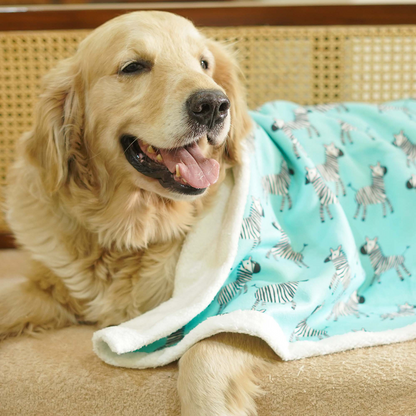Pets Way Zebra Ultra Soft Winter Blanket for Dogs