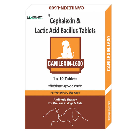 Wellcon Canilexin L 600mg Tablet (Cephalexin) for Dogs and Cats