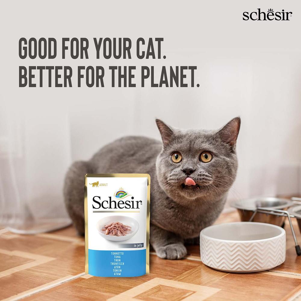 Schesir Tuna in Jelly Adult Cat Wet Food