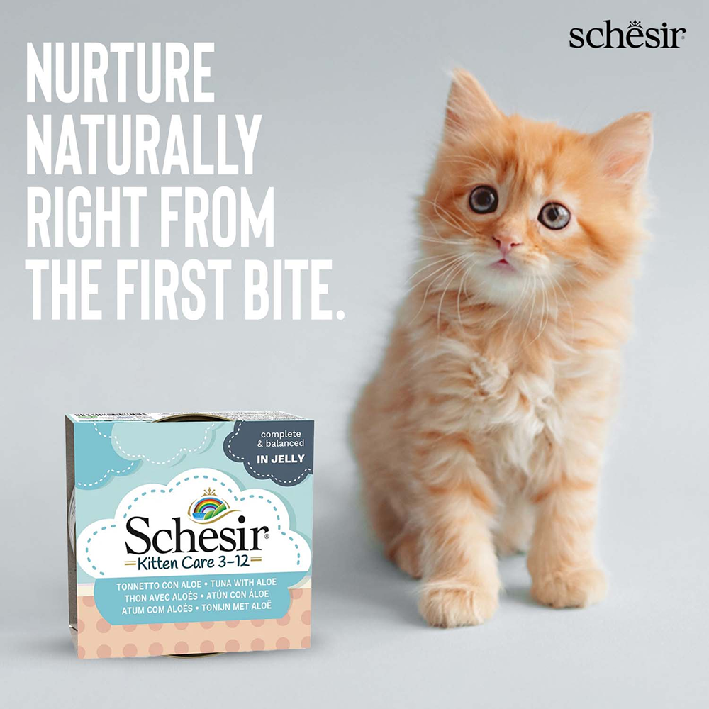 Schesir Tuna Whole Meat and Rice with Aloe Vera in Jelly Cat Wet Food