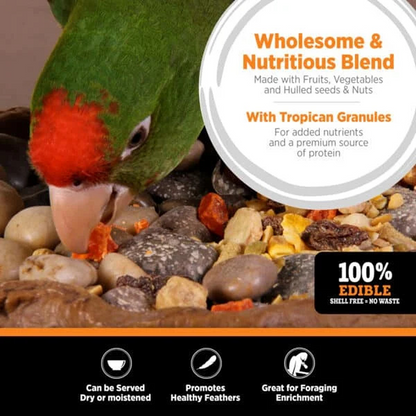 Hagen Tropimix Small Parrot Bird Food
