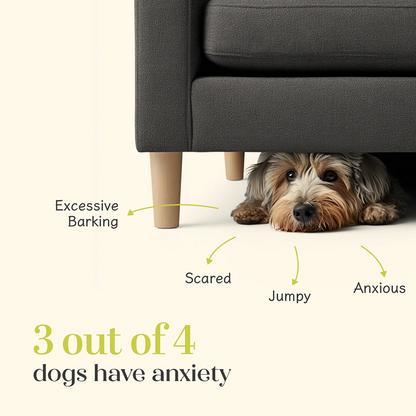 Hope Chicken Flavoured Calming Supplement for Dogs