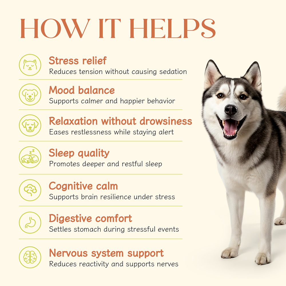 Hope Chicken Flavoured Calming Supplement for Dogs