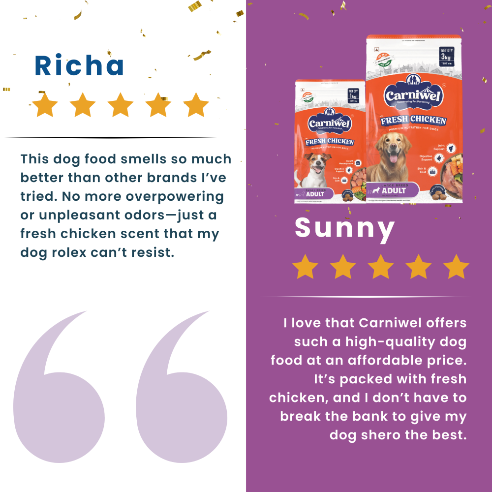 Carniwel Fresh Chicken Kibble Large Breed Dry Food and Fullr Dental Dog Treats