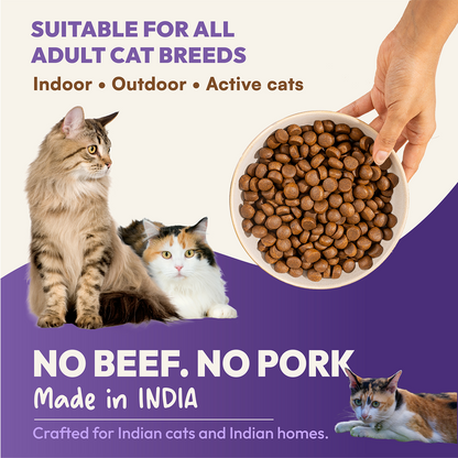 DatGud Chicken & Wild Fish Adult Cat Dry Food (Buy 1 Get 1 Free)
